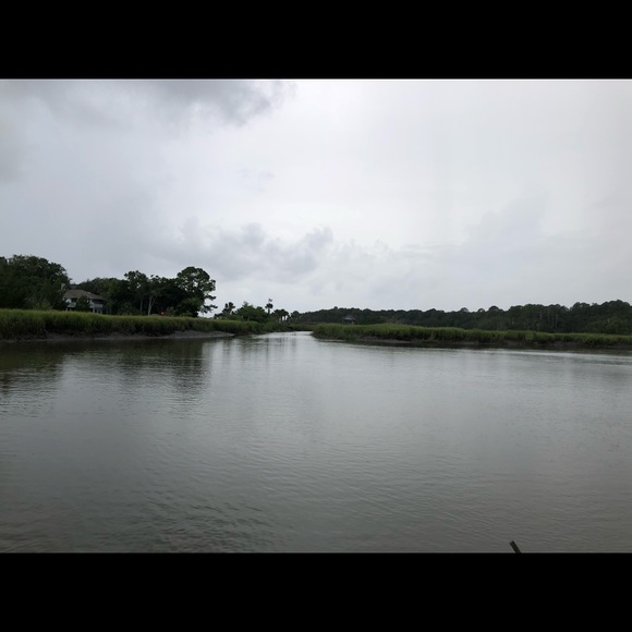 Meet your Posher, Elizabeth - Picture 1 of 1